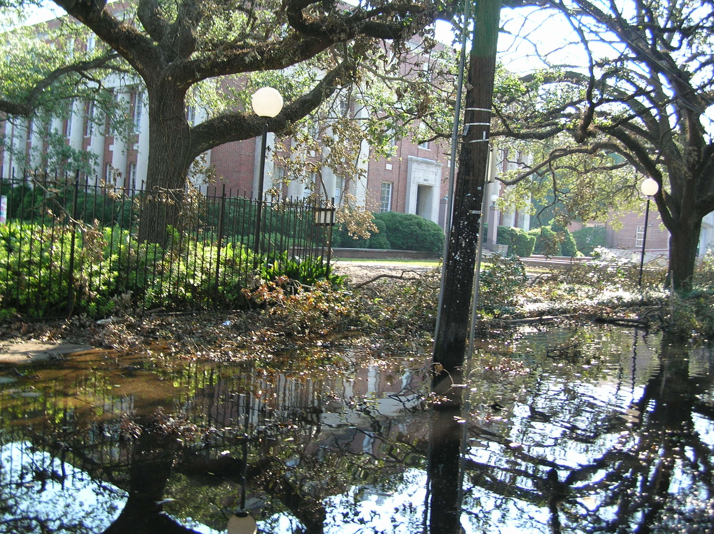 The Stone Center & Hurricane Katrina